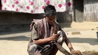 Funny videos