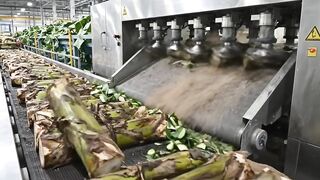 Inside the Largest High-Tech Banana Stem Factory You've Never Seen Before (Full Process)