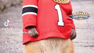 No mouse☺️????