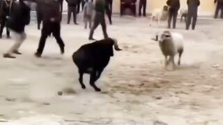 আহা কি খেলা