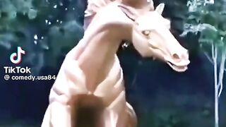 Funny video