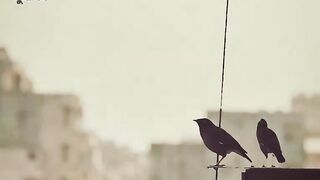 Islamic lyrics 3