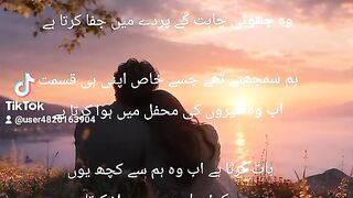 میری محبت 2