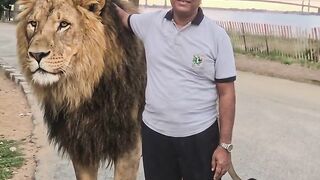 The man and Lion