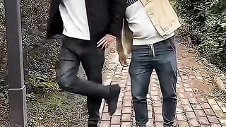 Funny videos