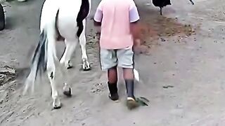 Funny videos