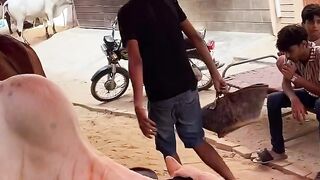 Funny videos