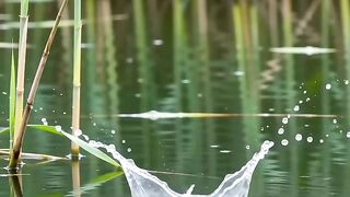Look at how hard the fish is trying to catch its food.