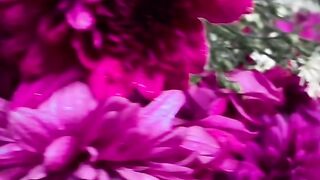 Pink flowers 2