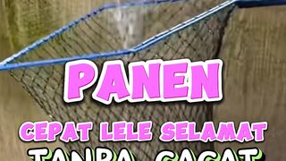 Yang lain sudah banyak yang menggunakan, kamu kapan❗