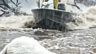 A farewell with her two children is in danger inside a huge storm