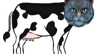 Funny dance video 8