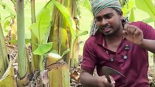 কলার_বোগ_বের_হবে_না_যা_করলে