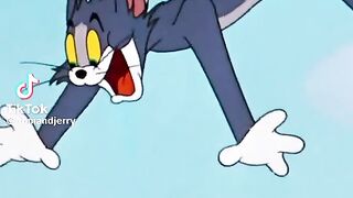 Tom vs Jerry 2