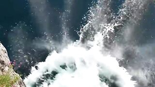 বীর কুকুর জাহাজের সবাইকে বাঁচালো #dog #rescue #ship