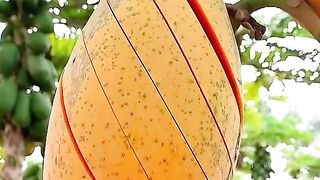 শেষ পযন্ত দেখবেন