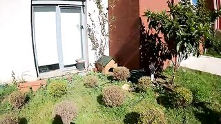 I Changed the Lives of 5 Orphaned Kittens Who Lost Their Mother. Part 5