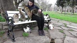 While everyone stayed home trying to avoid virus during the pandemic, we never abandoned the cats.