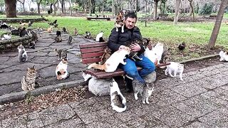 You cannot find a purer love in the world than the love of a cat.