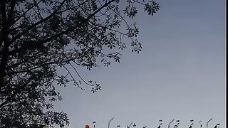 ishqe