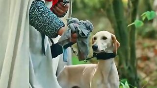 funny  drama part of osman fighter