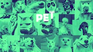Funny angry dogs moments ????????????
