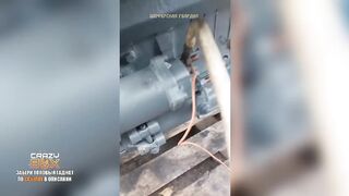 Развлечения