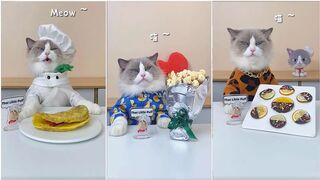 Cats make food 2022 That Little Puff Tiktok