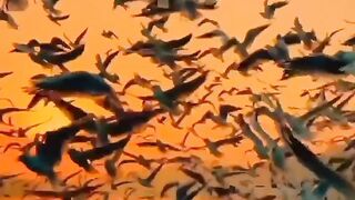 Beautiful view of nature 133