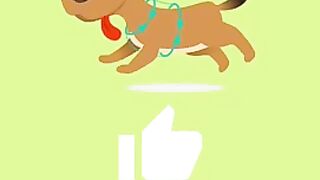 Cute Funny Monkey - Good Time Moments Best Compilation