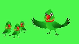 Green screen cartoon birds