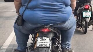 funny videos 460