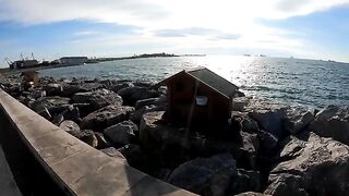 The sea did not remain silent when it came to feeding hungry cats