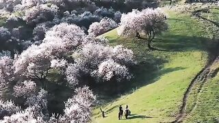 Amazing view????????️