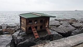 When there are no rooms available at the cat hotel