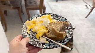 If you have a huge cat, you can never eat breakfast alone.