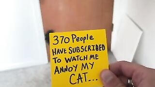 Мy cat and I are on the same page