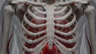30 Days Without Soda: An Anatomical Journey from Cravings to Rebirth