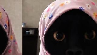 Hantu????