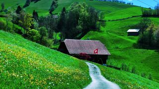 ???? I Can’t Believe This is Switzerland ????????????️