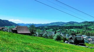 ????️ This Swiss View Feels Like a Dream ????????✨