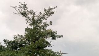 Plane spotting 2