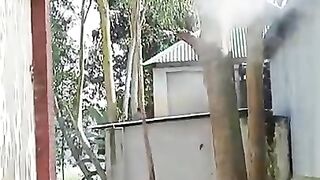 ধোঁয়া_দিয়ে_মৌচাক_কাটার_দৃশ্য