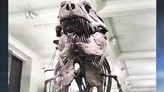 Predator paling berbahaya yang pernah hidup di bumi