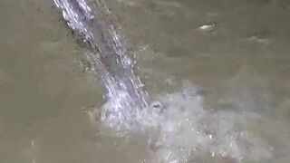 Ikan lele suka LONCAT keluar kolam ini penyebab dan cara mengatasinya