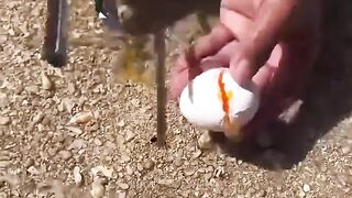 See how to catch fish with eggs?