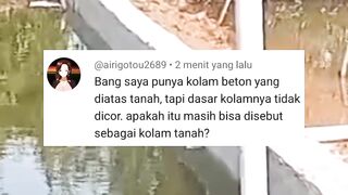 Dikolam seperti ini kalian bisa tebar padat extreme