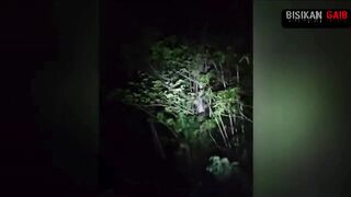 penampakan di hutan 2