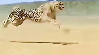 Welcome to my video! If you want to see more beautiful and interesting videos like this, don’t forget to subscribe to my YouTube channel!