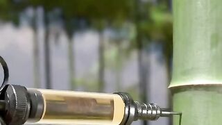 cara buat anggur dengan metode yang ga biasa, namun mahal harganya